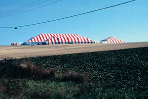 Various Festival Tents
