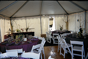 20x40 Unique Tent Interior Wedding